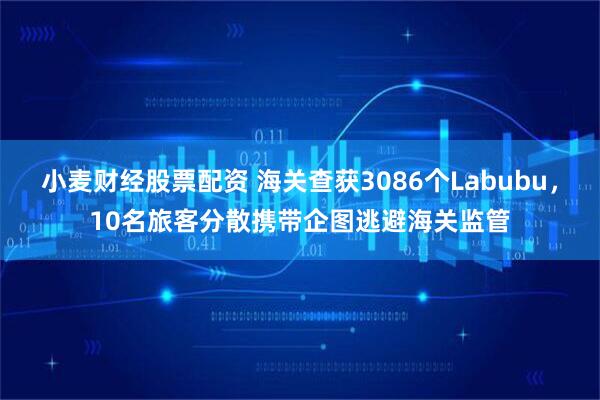 小麦财经股票配资 海关查获3086个Labubu，10名旅客分散携带企图逃避海关监管