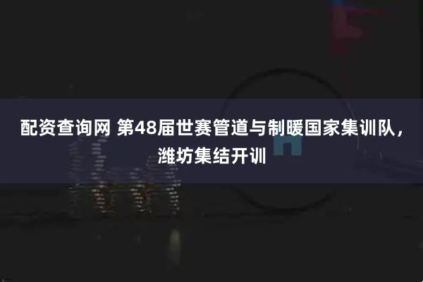 配资查询网 第48届世赛管道与制暖国家集训队，潍坊集结开训